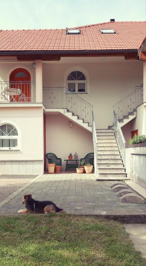 Prenocisca Angelin Hram, Tiny Apartments Markovec 외부 사진