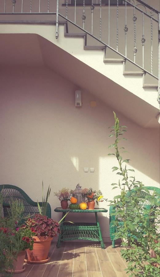 Prenocisca Angelin Hram, Tiny Apartments Markovec 외부 사진