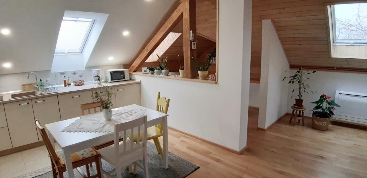 Prenocisca Angelin Hram, Tiny Apartments Markovec 외부 사진